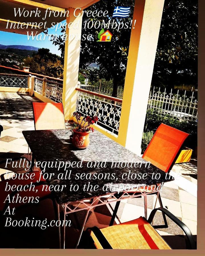Villa Filoxenia All Seasons, Near Airport, Sea, Athens Agia Marina  エクステリア 写真