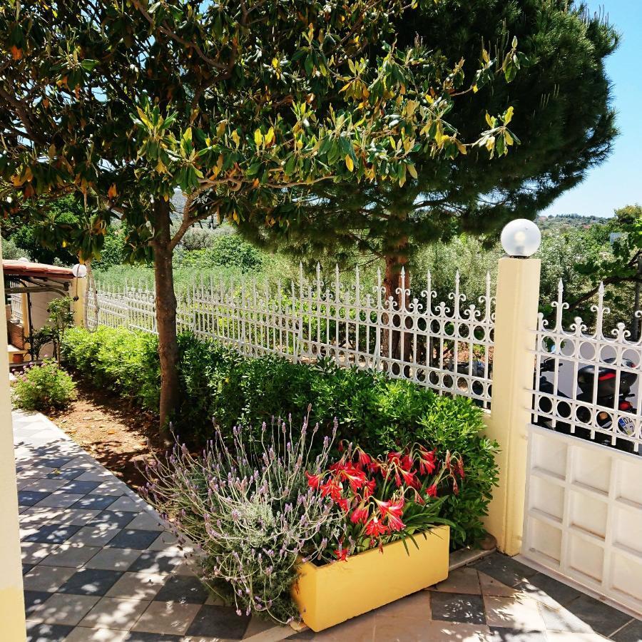Villa Filoxenia All Seasons, Near Airport, Sea, Athens Agia Marina  エクステリア 写真