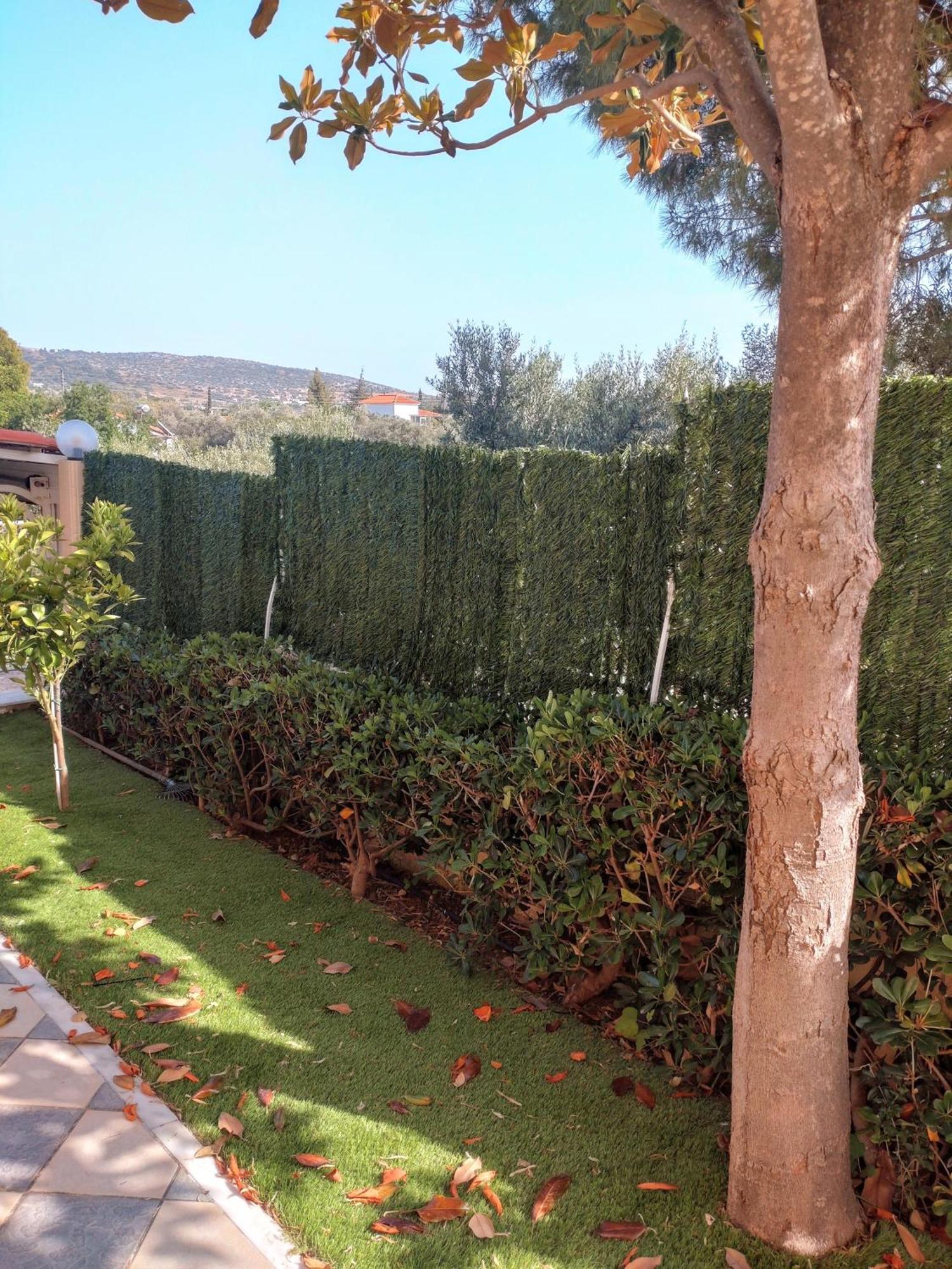 Villa Filoxenia All Seasons, Near Airport, Sea, Athens Agia Marina  エクステリア 写真