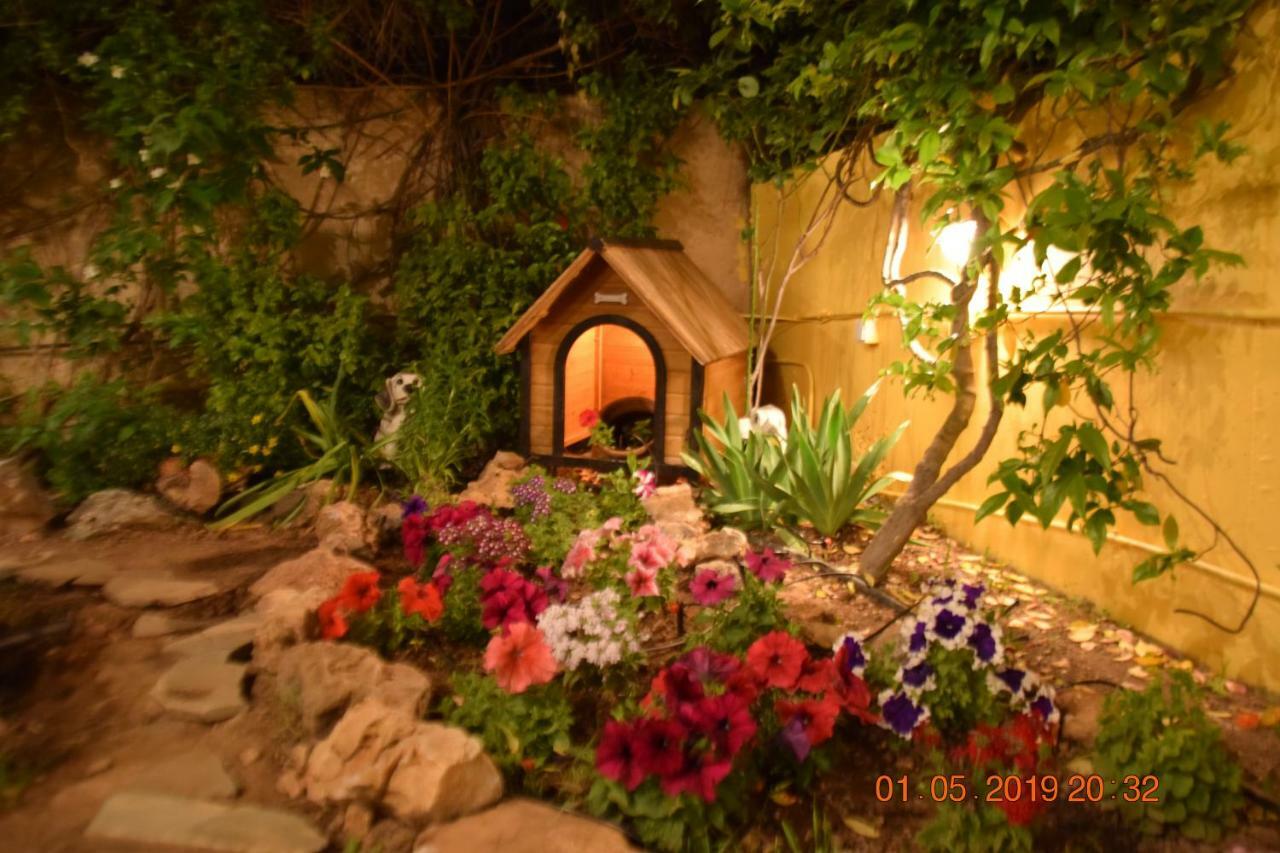 Villa Filoxenia All Seasons, Near Airport, Sea, Athens Agia Marina  エクステリア 写真