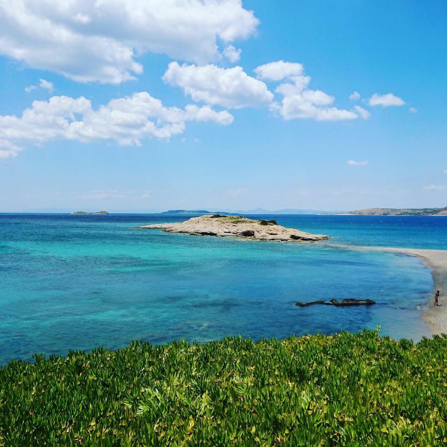 Villa Filoxenia All Seasons, Near Airport, Sea, Athens Agia Marina  エクステリア 写真