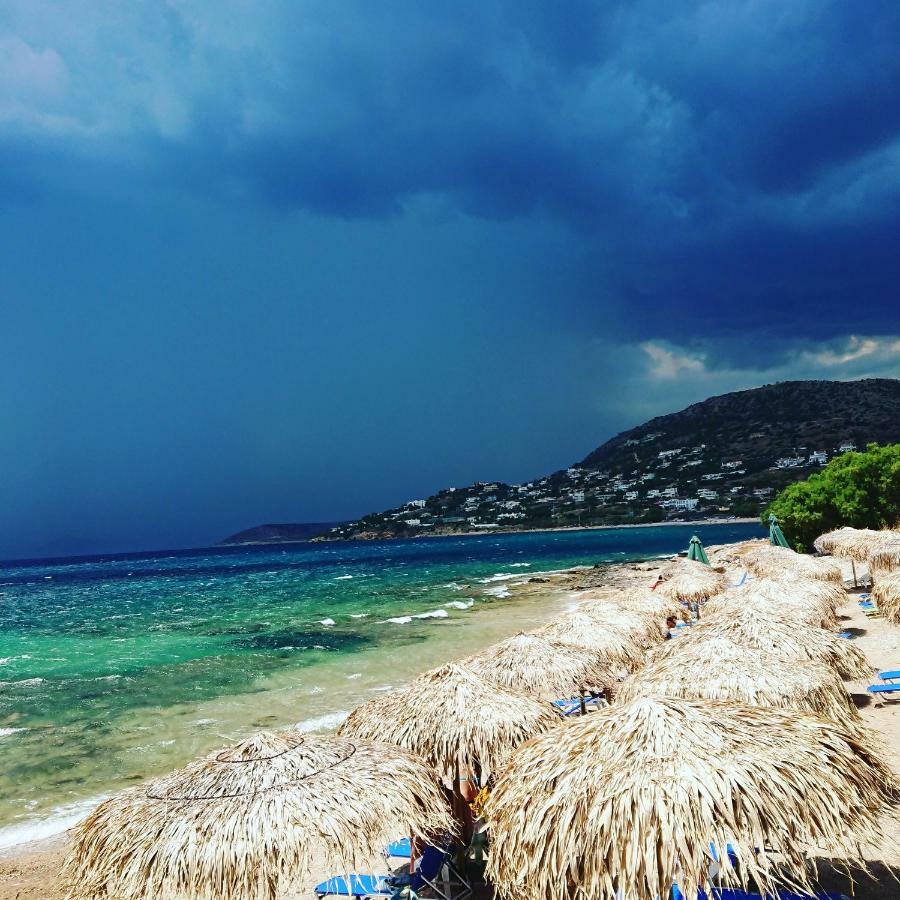 Villa Filoxenia All Seasons, Near Airport, Sea, Athens Agia Marina  エクステリア 写真