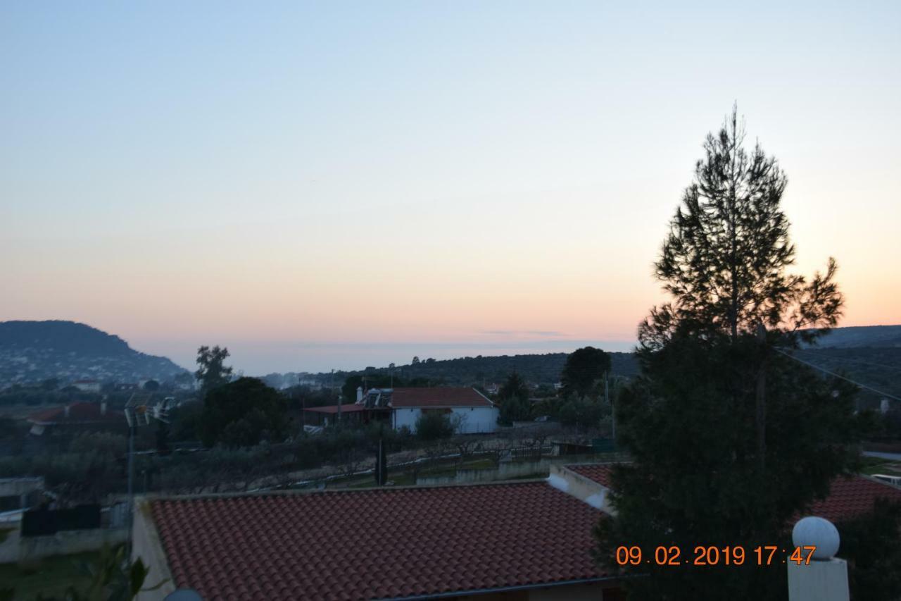 Villa Filoxenia All Seasons, Near Airport, Sea, Athens Agia Marina  エクステリア 写真