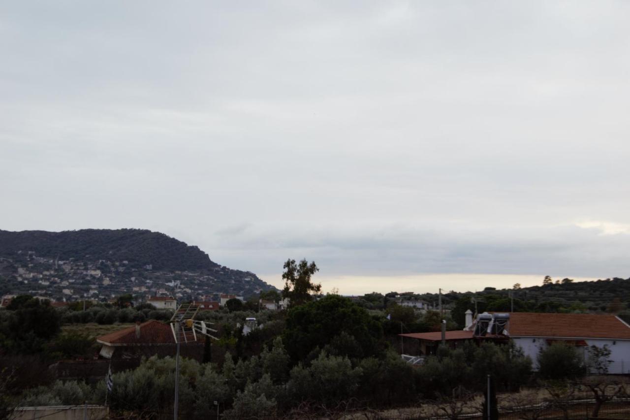 Villa Filoxenia All Seasons, Near Airport, Sea, Athens Agia Marina  エクステリア 写真